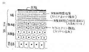 名称未設定-3